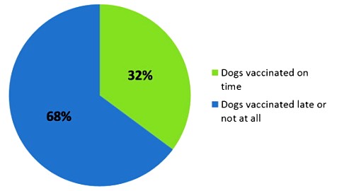 Using Data Vaccination Statistics Spring 2009